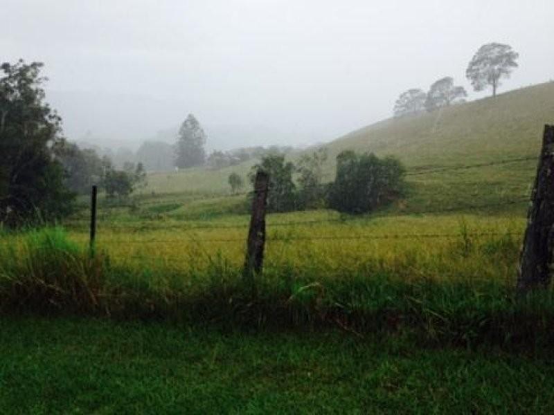 172 Smiths Creek Road, Uki NSW 2484