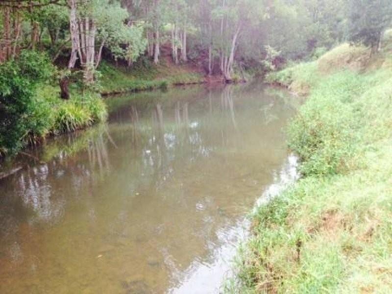 172 Smiths Creek Road, Uki NSW 2484