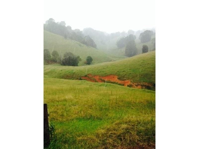 172 Smiths Creek Road, Uki NSW 2484