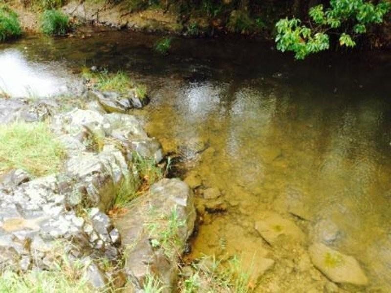 172 Smiths Creek Road, Uki NSW 2484