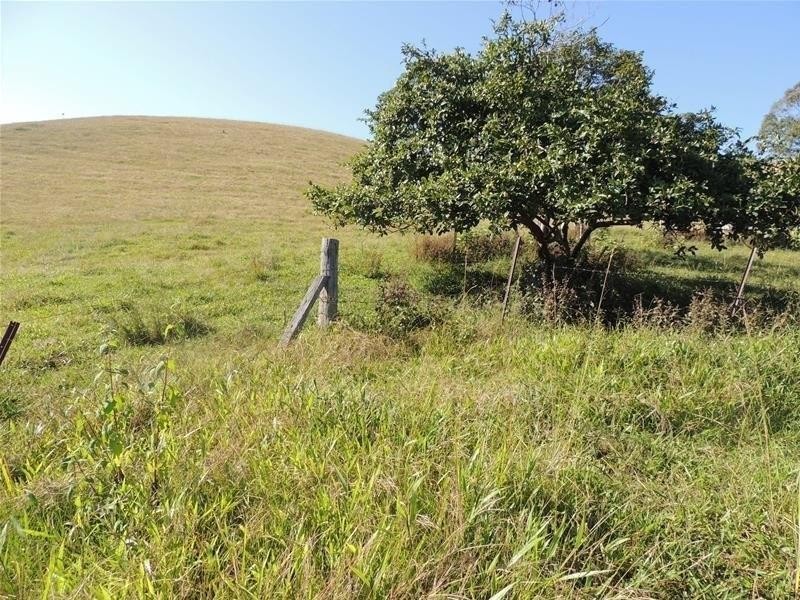 172 Smiths Creek Road, Uki NSW 2484