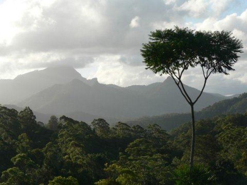 35 Hickory Way, Uki NSW 2484