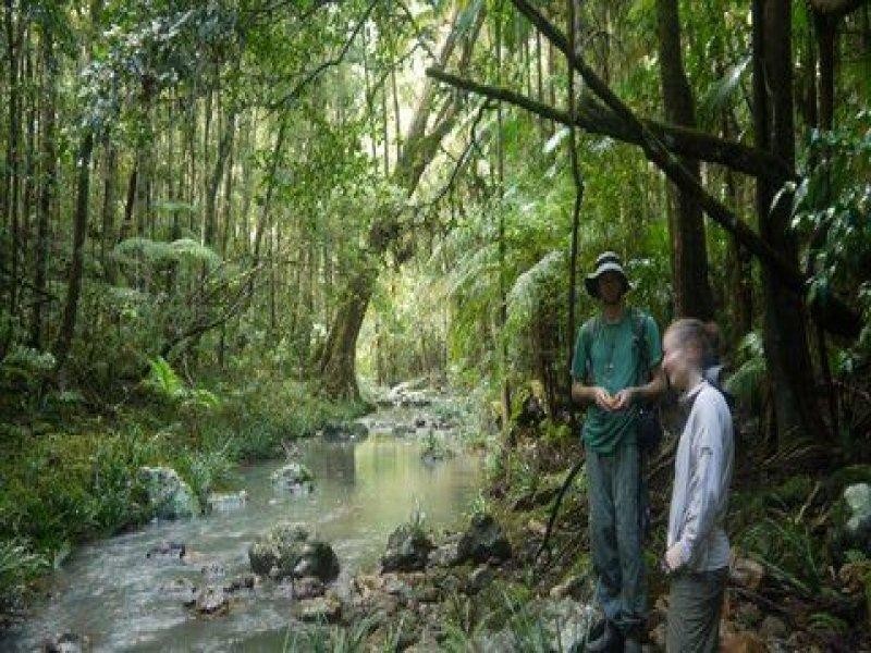 35 Hickory Way, Uki NSW 2484