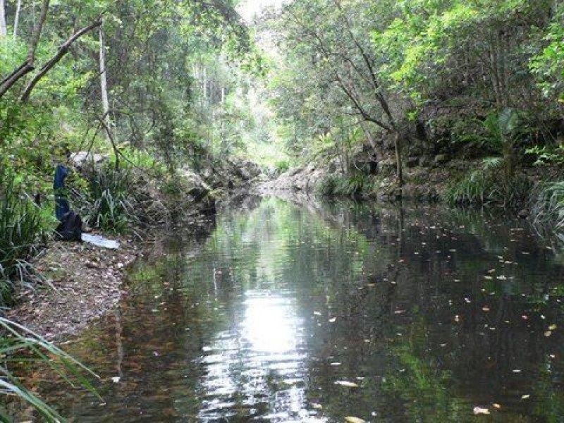 35 Hickory Way, Uki NSW 2484