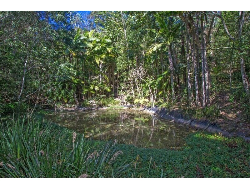 6916 Tweed Valley Way, Dunbible NSW 2484