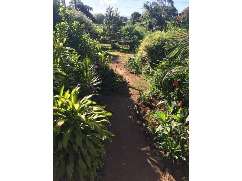 92 Tumbulgum Road, Murwillumbah NSW 2484