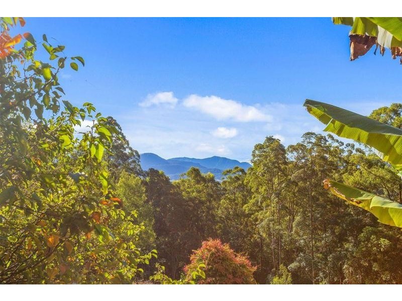 Lot24/1283 Byrrill Creek Road, Tyalgum NSW 2484