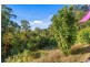 Lot24/1283 Byrrill Creek Road, Tyalgum NSW 2484