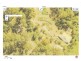 Lot24/1283 Byrrill Creek Road, Tyalgum NSW 2484