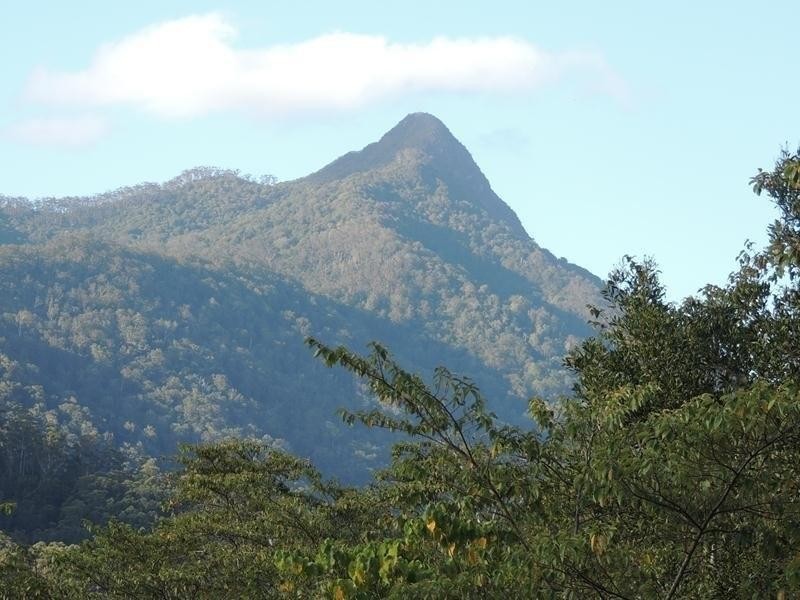 421 Byrrill Creek Road, Byrrill Creek NSW 2484