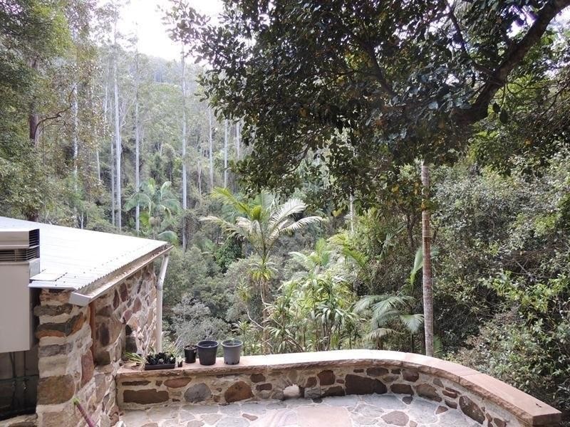 421 Byrrill Creek Road, Byrrill Creek NSW 2484