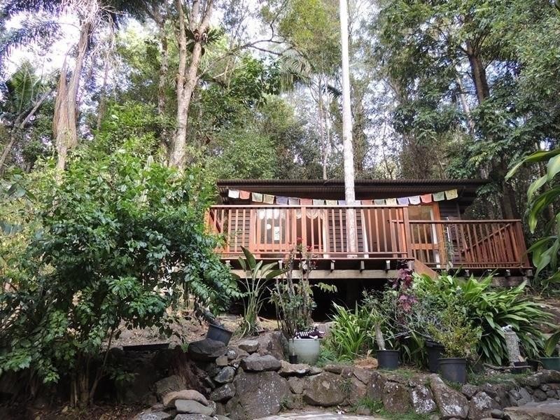 421 Byrrill Creek Road, Byrrill Creek NSW 2484
