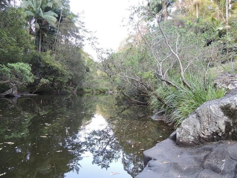 421 Byrrill Creek Road, Byrrill Creek NSW 2484