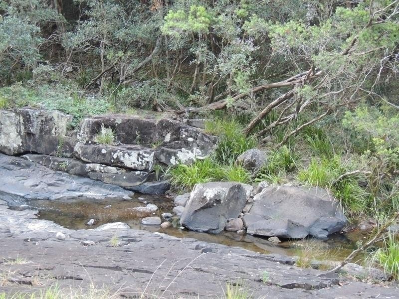 421 Byrrill Creek Road, Byrrill Creek NSW 2484