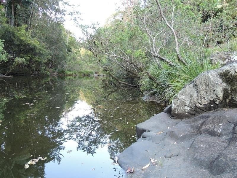 421 Byrrill Creek Road, Byrrill Creek NSW 2484