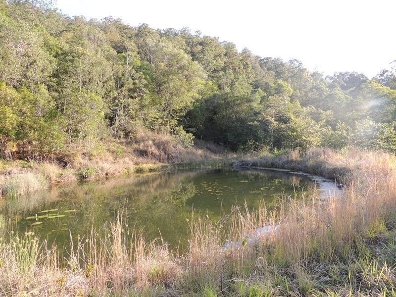 421 Byrrill Creek Road, Byrrill Creek NSW 2484