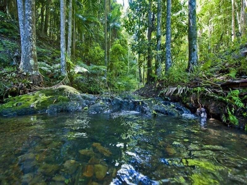 32 Ryans Road, Uki NSW 2484