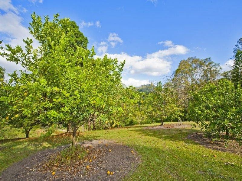 81 Chilcotts Road, Crystal Creek NSW 2484