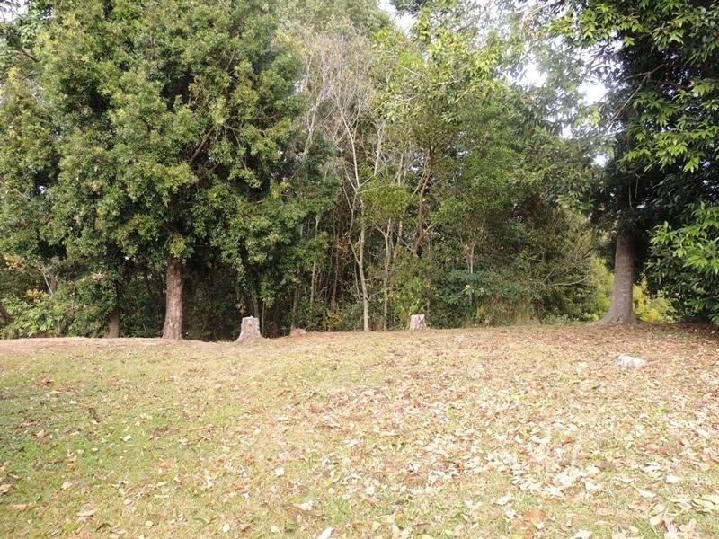 2/420 Kyogle Road, Murwillumbah NSW 2484