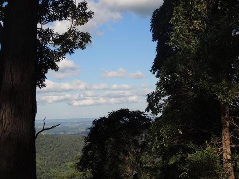 897 O’Neill Road, Bentley NSW 2480