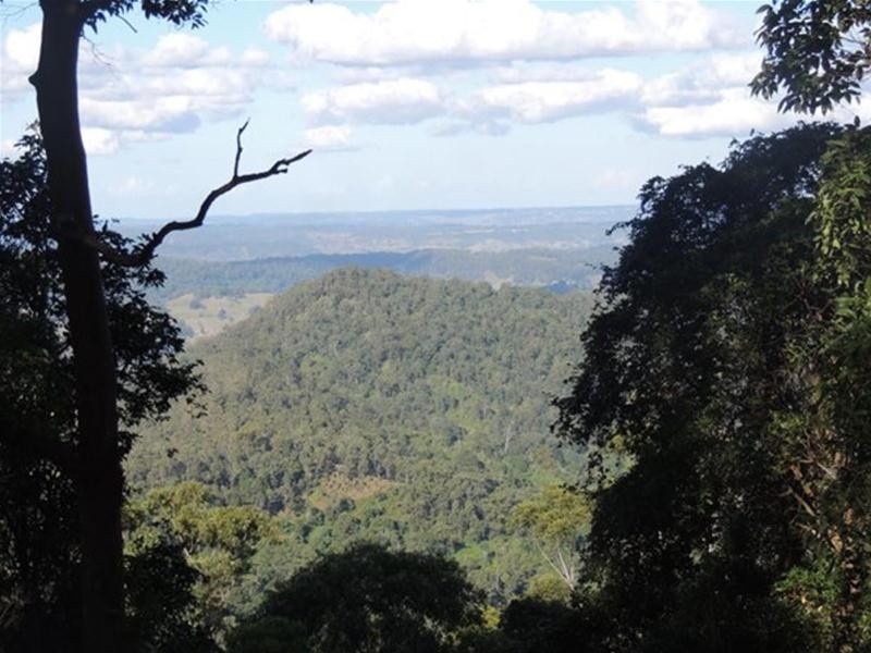 897 O’Neill Road, Bentley NSW 2480