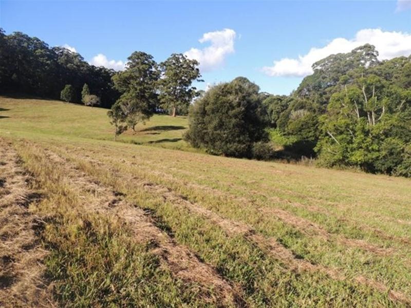 897 O’Neill Road, Bentley NSW 2480