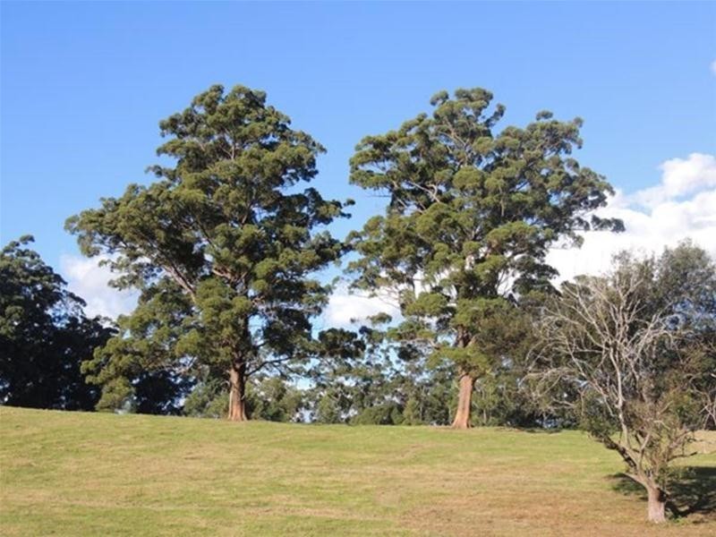 897 O’Neill Road, Bentley NSW 2480