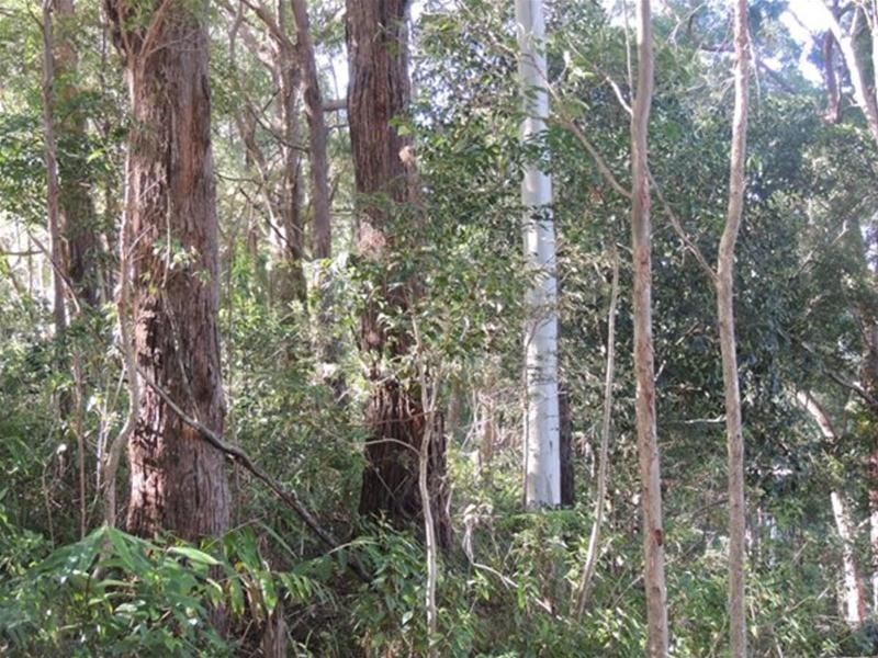 897 O’Neill Road, Bentley NSW 2480