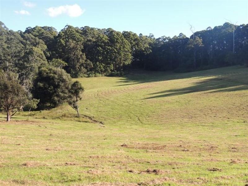 897 O’Neill Road, Bentley NSW 2480