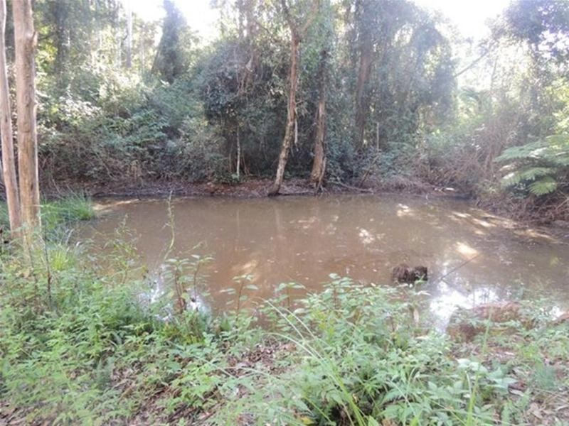 897 O’Neill Road, Bentley NSW 2480