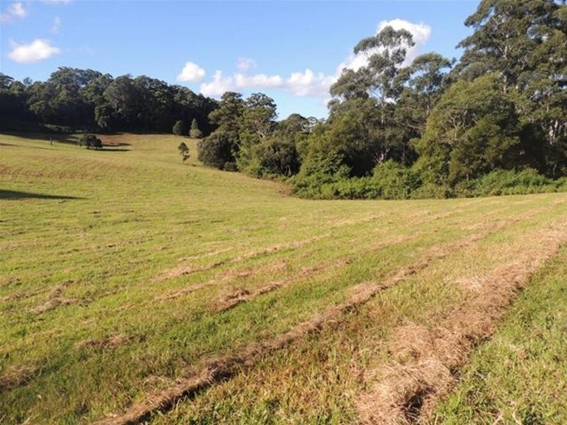 897 O’Neill Road, Bentley NSW 2480