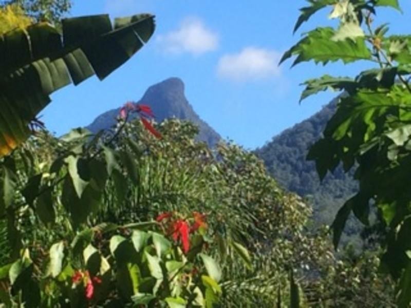 164 Grants Road, Uki NSW 2484