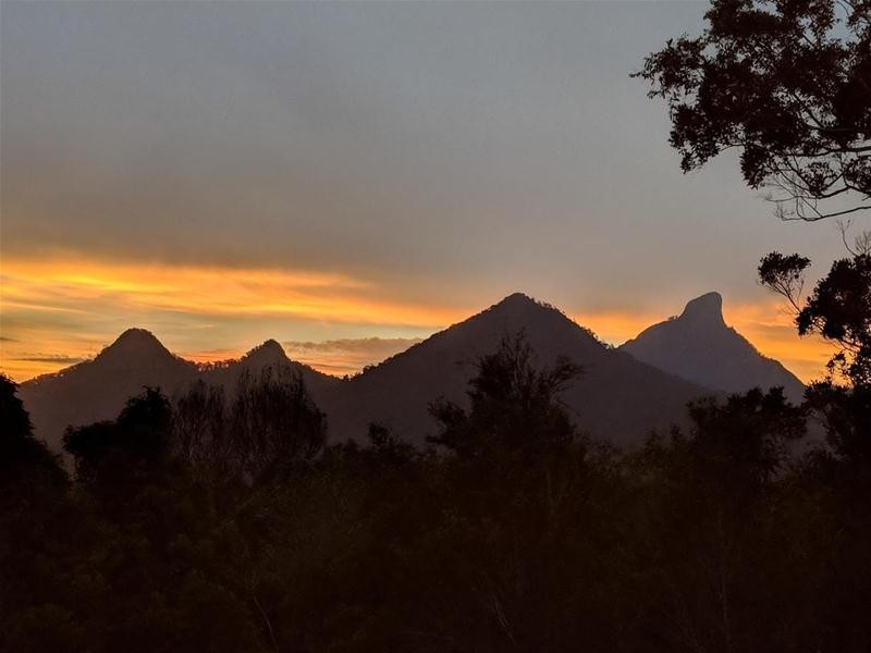 67 Braeside Drive, Uki NSW 2484