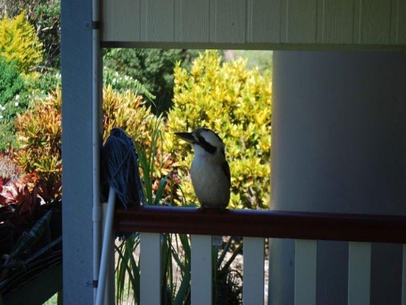 665 Kyogle Road, Byangum NSW 2484