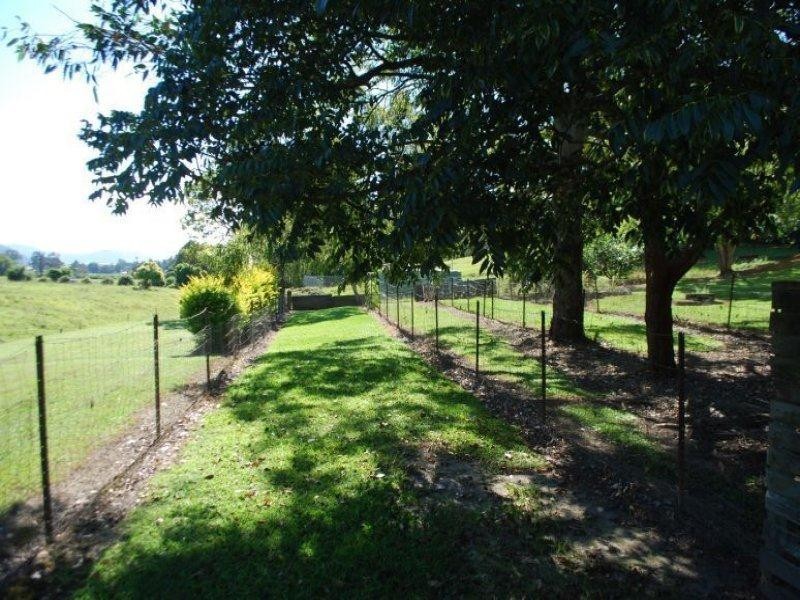 665 Kyogle Road, Byangum NSW 2484