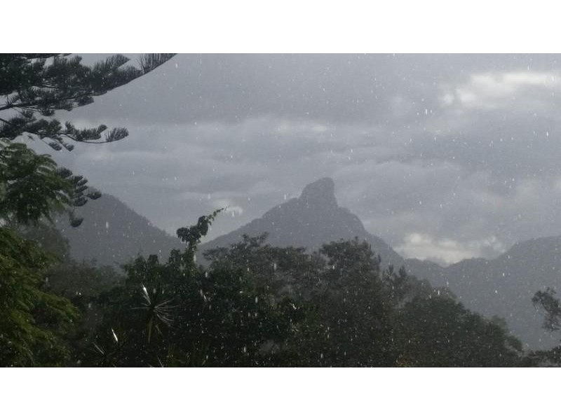 141 Glenock Road, Uki NSW 2484