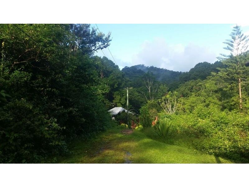 141 Glenock Road, Uki NSW 2484