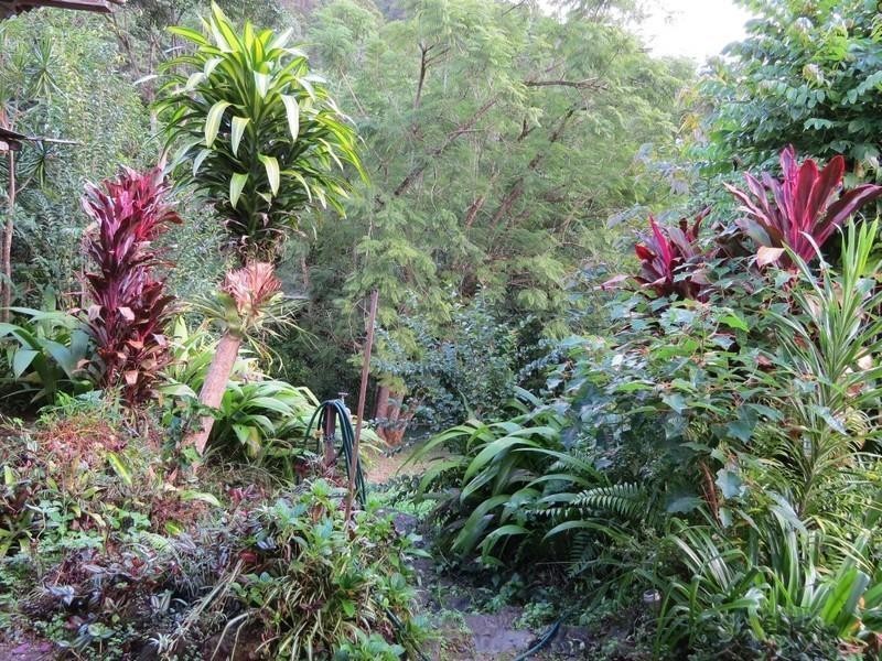 141 Glenock Road, Uki NSW 2484