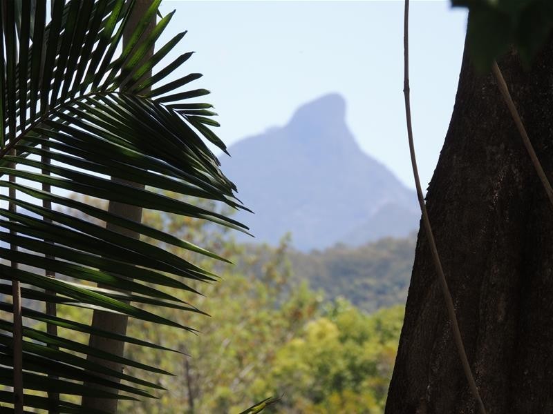 7 Culbara Place, Stokers Siding NSW 2484