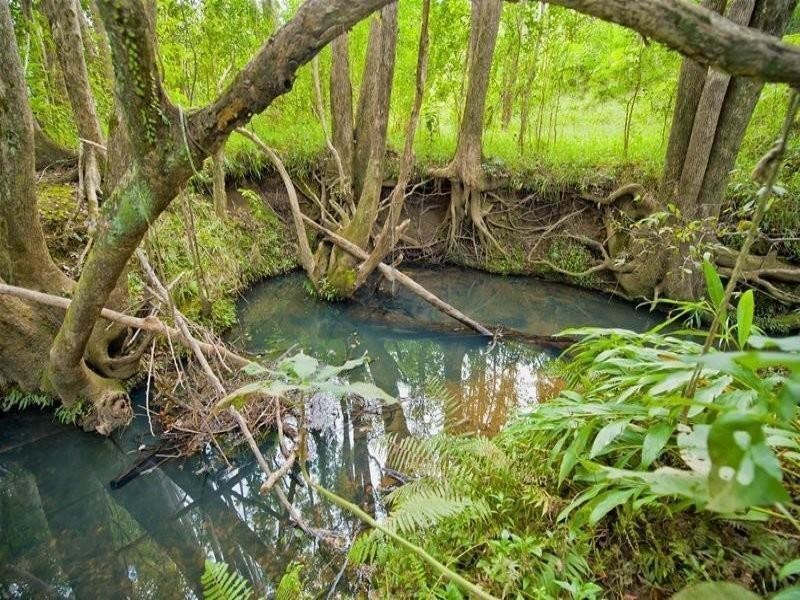 7 Braeside Drive, Uki NSW 2484