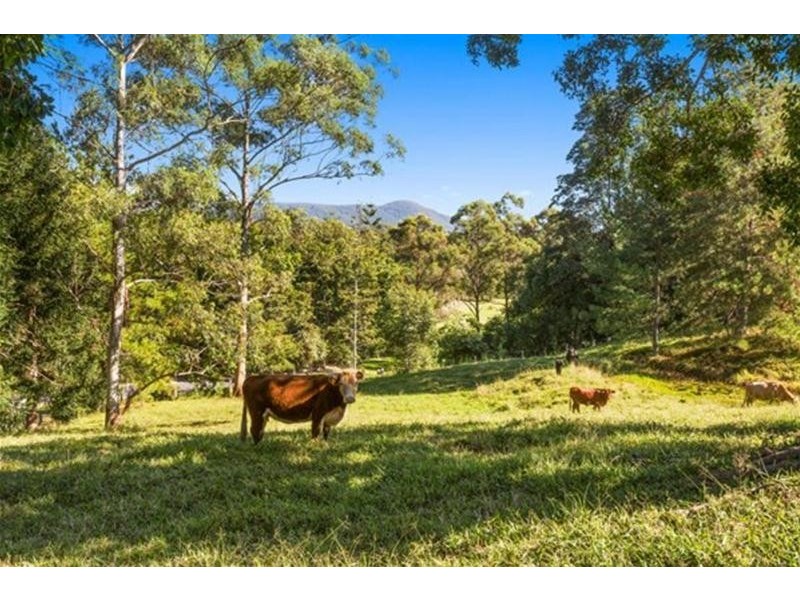 83 Nolans Road, Stokers Siding NSW 2484