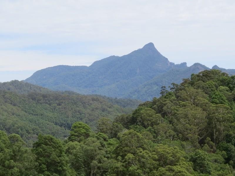 78 Manns Road, Rowlands Creek NSW 2484