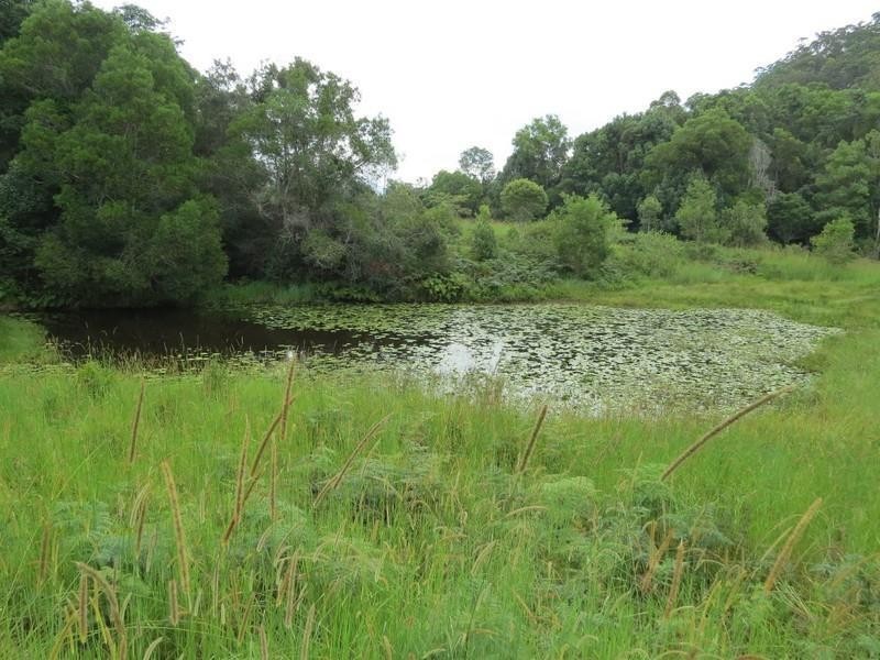 78 Manns Road, Rowlands Creek NSW 2484