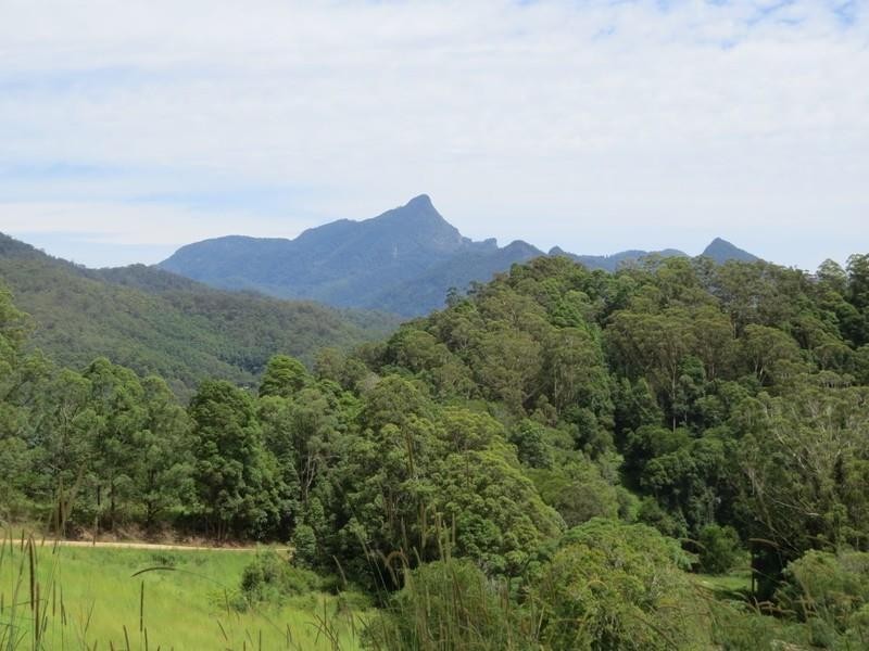 78 Manns Road, Rowlands Creek NSW 2484