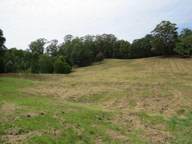 78 Manns Road, Rowlands Creek NSW 2484