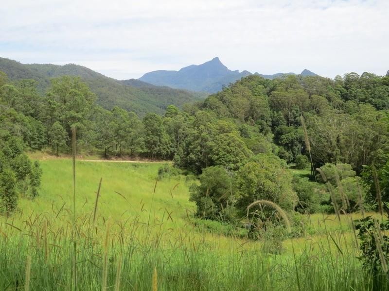 78 Manns Road, Rowlands Creek NSW 2484