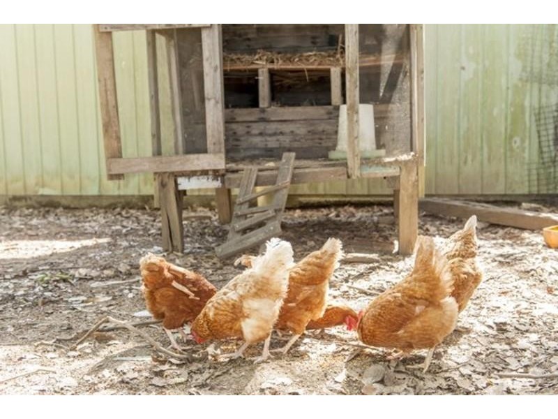 14 Minnows Road, Murwillumbah NSW 2484