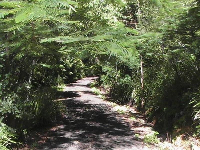 60 Binalong Court, Burringbar NSW 2483