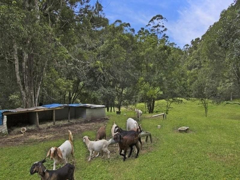 331 Zara Road, Chillingham NSW 2484