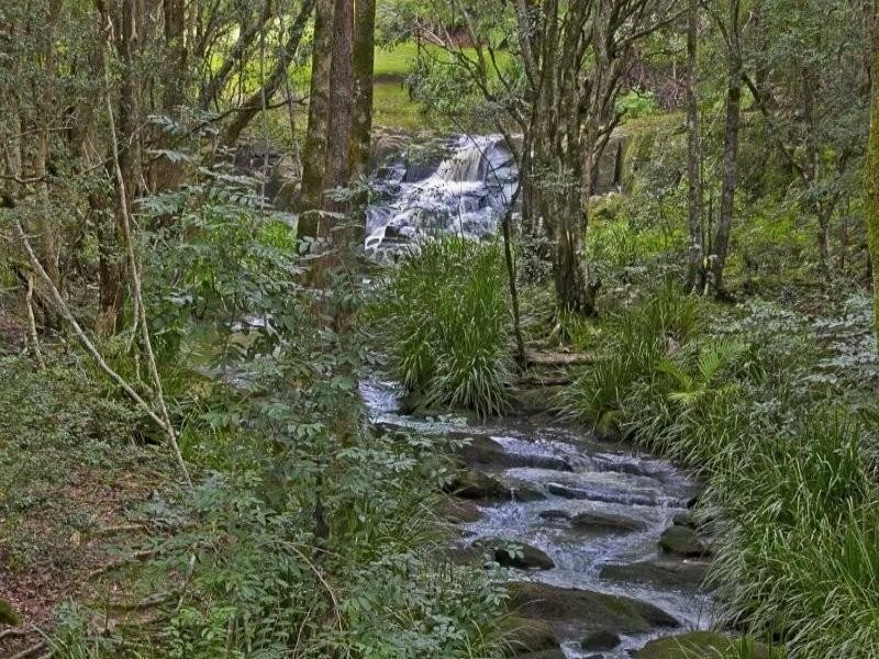 331 Zara Road, Chillingham NSW 2484